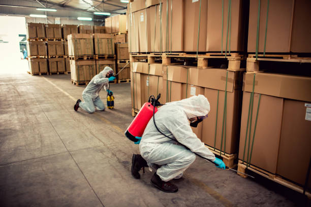 Best Ant Control Services  in Bridgeport, AL