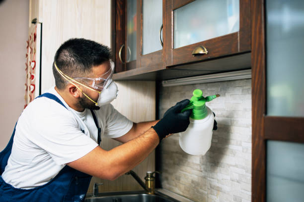 Best Pest Prevention Services  in Bridgeport, AL
