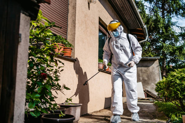 Best Wasp Removal Services  in Bridgeport, AL