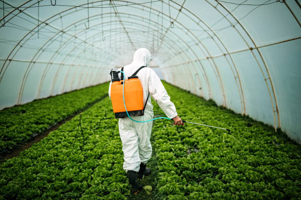 Best Pest Inspection Near Me  in Bridgeport, AL