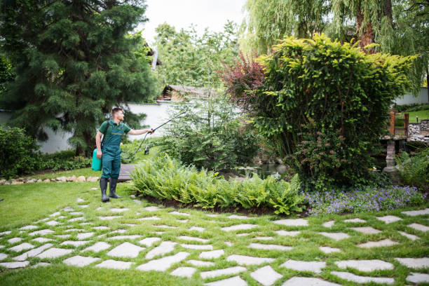 Best Commercial Pest Control Services  in Bridgeport, AL