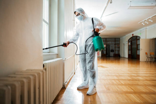 Best Exterminator Services  in Bridgeport, AL
