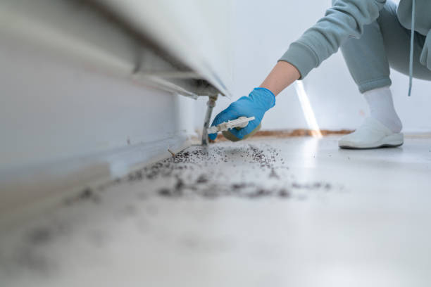 Best Wildlife Control Services  in Bridgeport, AL