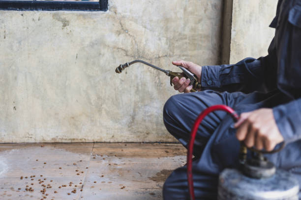 Best Affordable Pest Control Services  in Bridgeport, AL